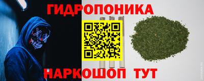 спайс Кандалакша