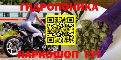 jwh Канаш